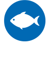 Sperber-Bräu-Speisekarte-Fisch-Icon-Abstand-Unten.png